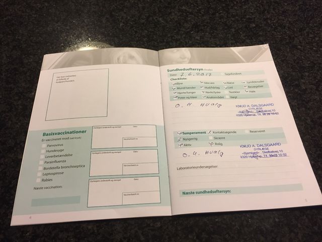 H banden har i dag været hos dyrelægen. 
Alle hvalpe gik igennem temperament og sundhedstjek uden anmærkninger, kun positive ord.  
Alle hvalpe har fået en omgang manicure og sidste ormekur er givet. De er parate til nye udfordringer!!