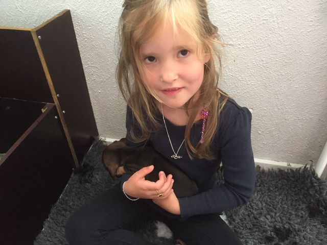 Barnebarn Carla på hvalpebesøg og selvfølgelig har Carla et halssmykke på, med vedhæng af en Gravbasse 