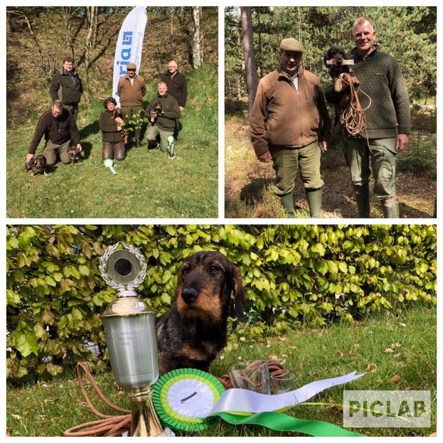Skovens A'capella Junior Deluxe (Balder) 
1.pr. på 3 timers blodspor og prøvens bedste. Stort tillykke til Ejer Bettina og Martin  