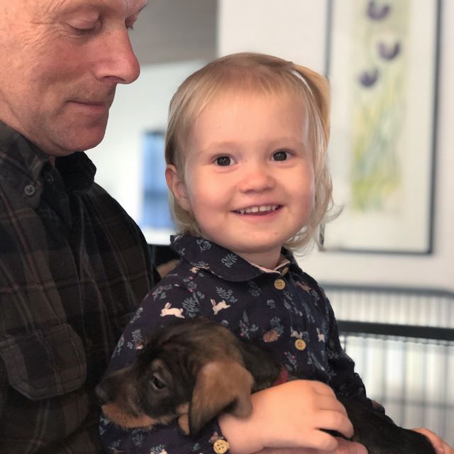 Hvalpene trives og vokser sig store. Vi har haft besøg af barnebarn Naya som sikre, at alle hvalpe kommer op og bliver nusset med....