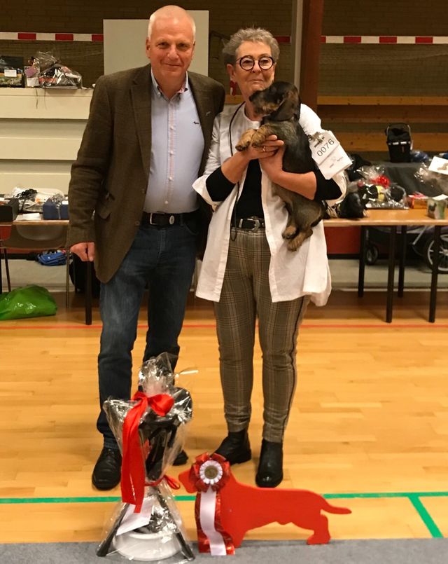Mikkirs Phila-Perle BIS 1
 Årets sidste udstilling DGK Gørlev 2019 Dommer: Dietrich Hollmad