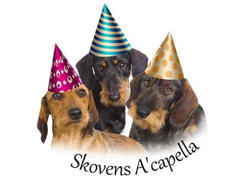Året 2021 svinder, for os i Skovens A’capella har året  budt på mange flotte hunde resultater og oplevelser.
Et af årets største var for os den. 11.06 da Rubin fødte 10 sunde og livsstærke hvalpe, Juvel fødte dagen efter og endnu 7 sunde hvalpe  stødte til flokken. 
Vi havde fra dag et af hænderne fulde med,at hjælpe tæverne og de små vidundere.
Sommeren bød på dejligt ude liv for os alle, vi havde en  fantastisk sommer. 
Vi vil gerne takke alle jer for dejlige hilsner og billeder, vi nyder hver eneste.
Vi glæder os til et nyt hunde år og ønsker jer alle rigtig godt nytår.
Til jer der spændt venter sammen med os på 2022 hvalpe, glæd jer 💙❤️ Forventningens glæde er en af de største.